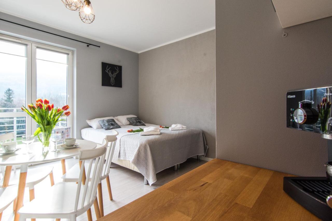 Apartamenty Izerskie - Ul. Cicha 13F-G Swieradow-Zdroj Exterior photo